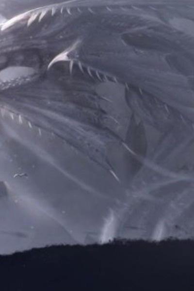 Reincarnated to a dragon god