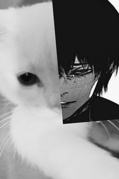 Anthology of a Fractured World