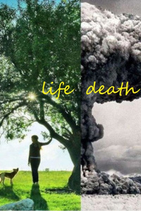 The Order Between Life And Death