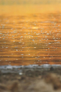 The unexpected love - The beach house(completed)