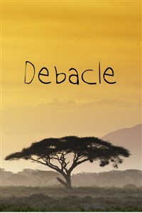 Debacle: A Tale of Tails