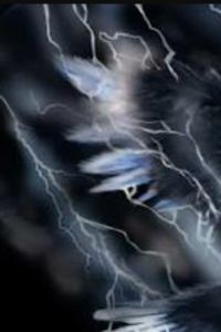 The Master and his Bird