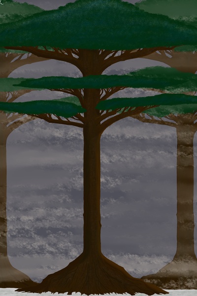 Above The Forest Canopy