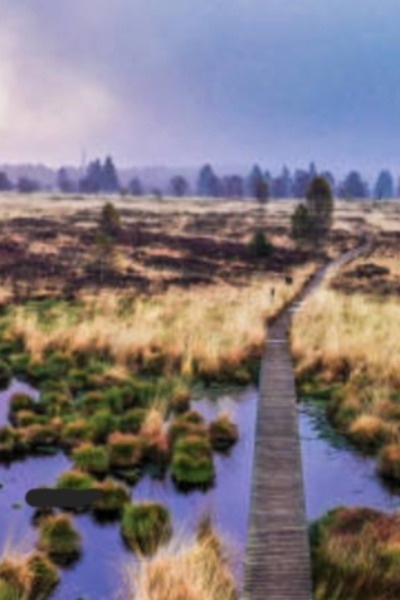 Mire Core (A Nation Building Dungeon Core Story)