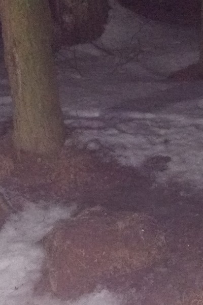 Read me.... If you can