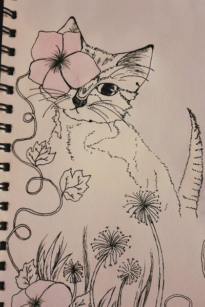 The Cheese Without String