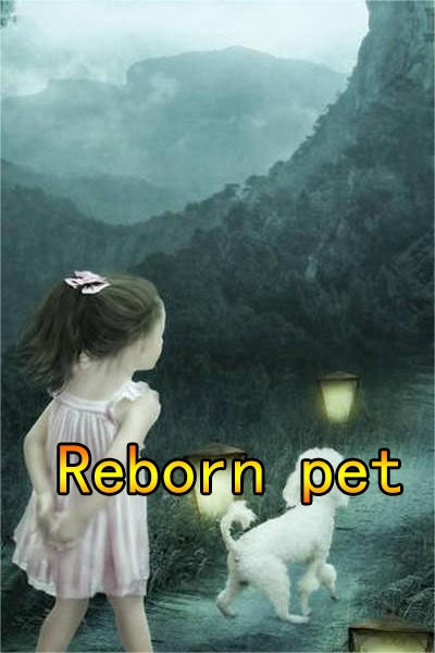 Rebirth Group Pet: Vest Big A exploded