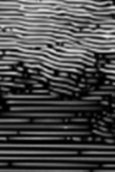 Gods Above and Ghouls Below